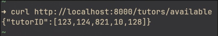 Terminal output showing correct endpoint response